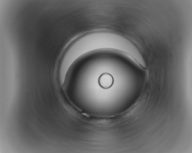 X0000113290156200910051108