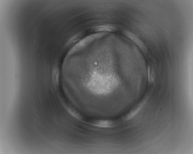 X0000113290157200910051108
