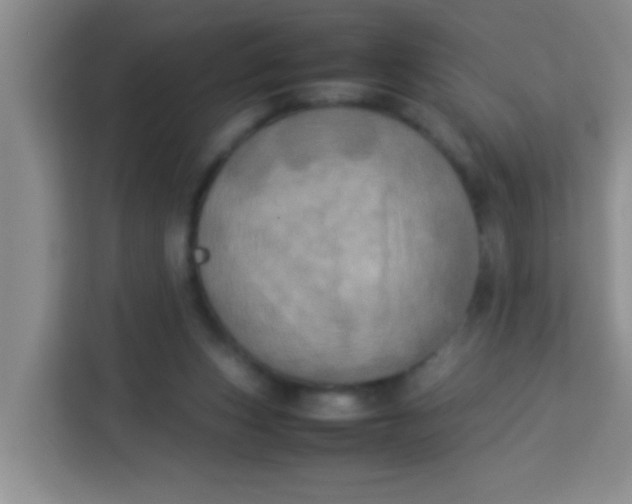 X0000113290159200910051108
