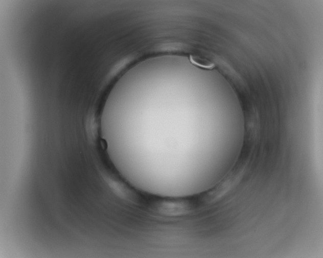 X0000113290160200910051108