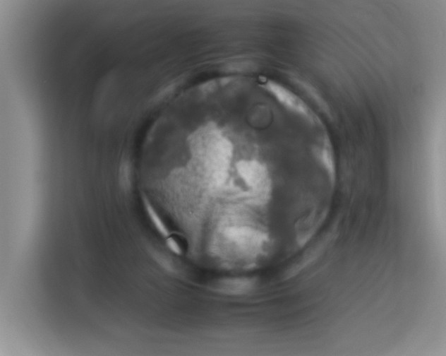 X0000113290161200910051108