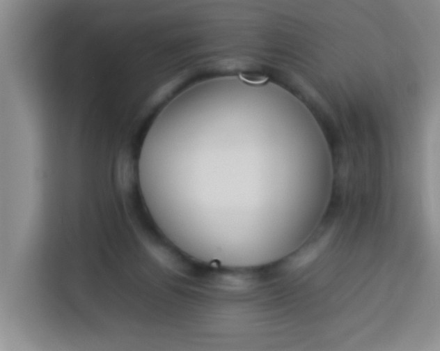 X0000113290164200910051108