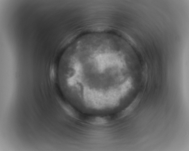 X0000113290166200910051108
