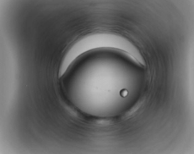 X0000113290168200910051108