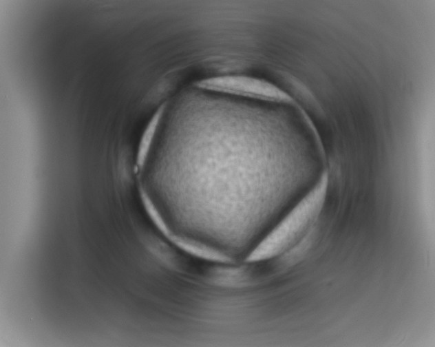 X0000113290170200910051108