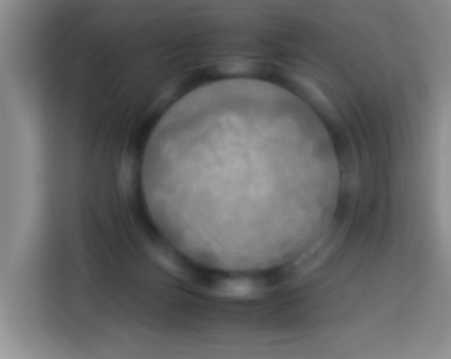 X0000113290171200910051108