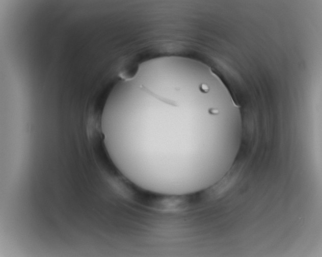 X0000113290172200910051108