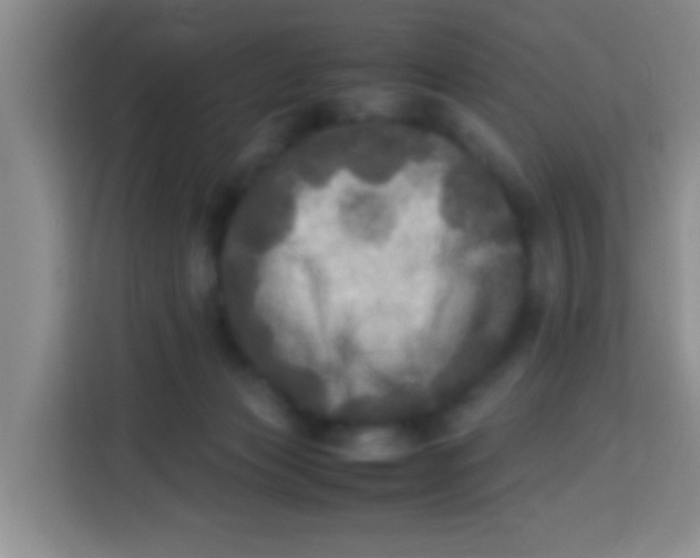 X0000113290173200910051108