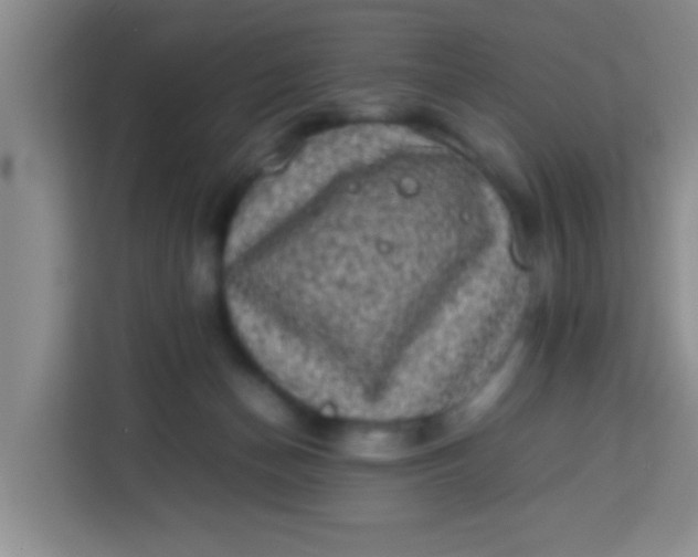 X0000113290174200910051108