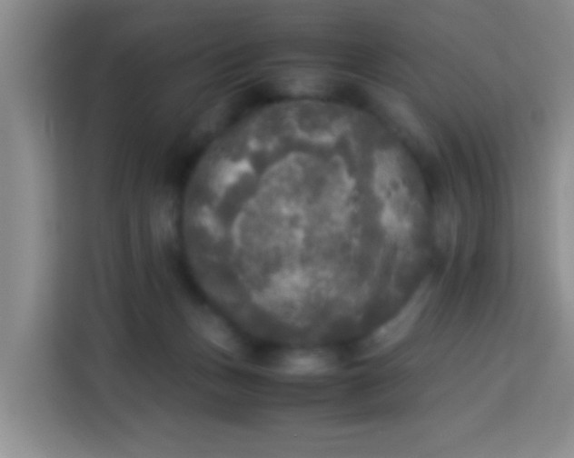 X0000113290175200910051108