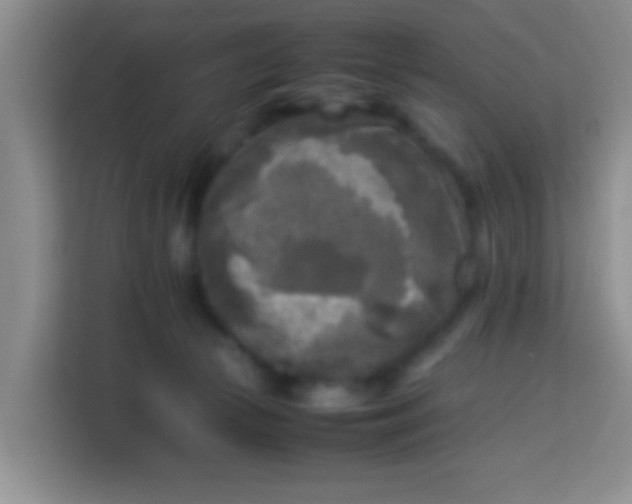 X0000113290177200910051108
