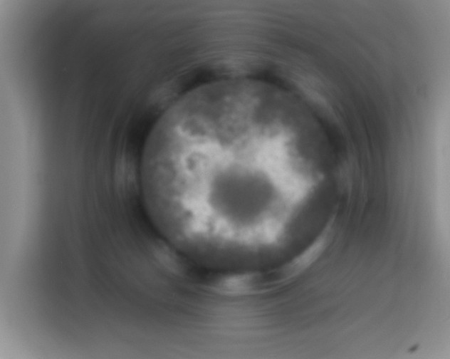 X0000113290178200910051108