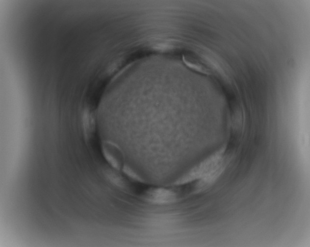 X0000113290180200910051108