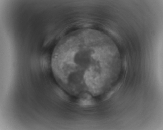 X0000113290181200910051108