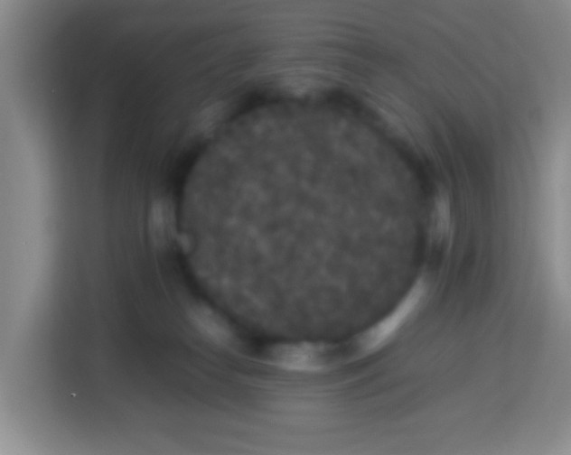 X0000113290182200910051108