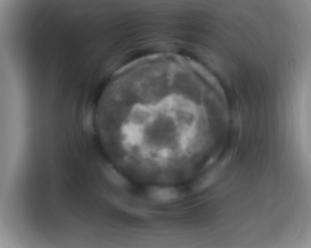 X0000113290185200910051108