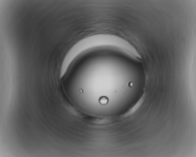 X0000113290186200910051108
