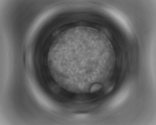 X0000113290189200910051108