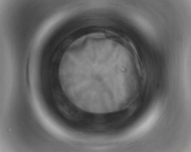 X0000113290191200910051108