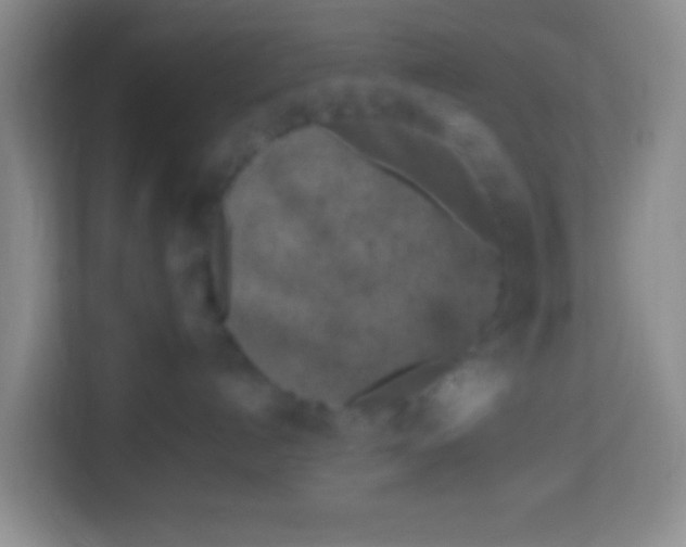 X0000113290192200910051108