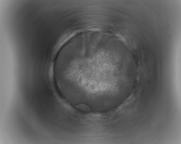 X0000113290194200910051107