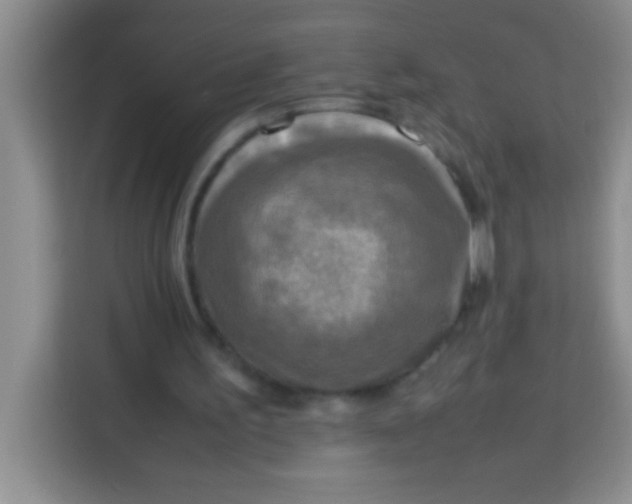 X0000113290195200910051107