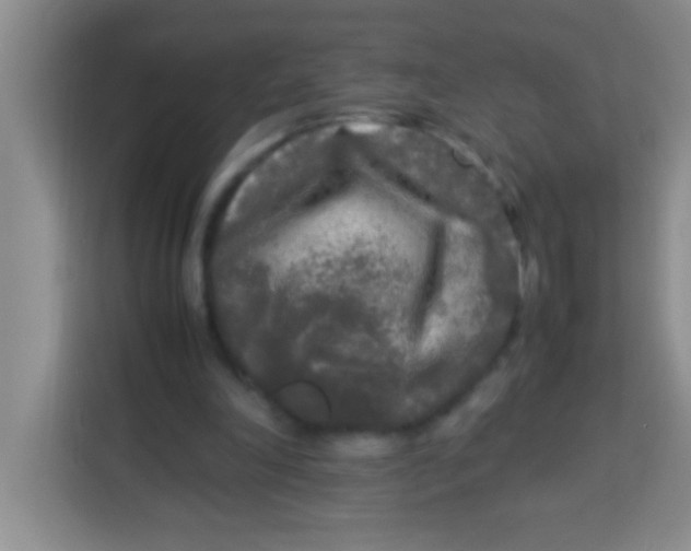 X0000113290198200910051107