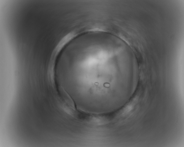 X0000113290199200910051107