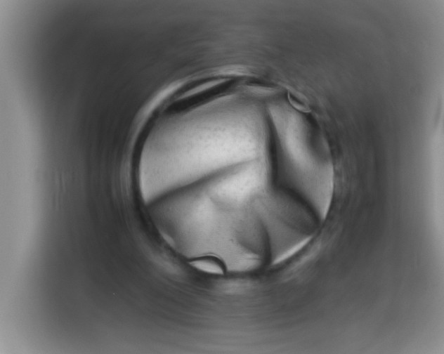X0000113290200200910051107