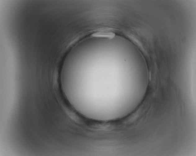 X0000113290201200910051107