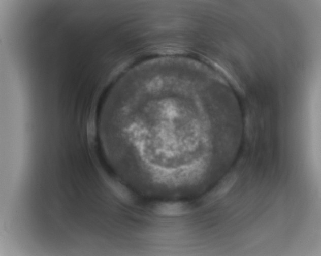 X0000113290202200910051107