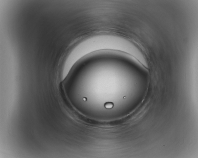 X0000113290203200910051107