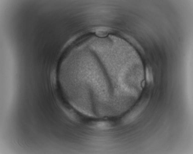 X0000113290204200910051107
