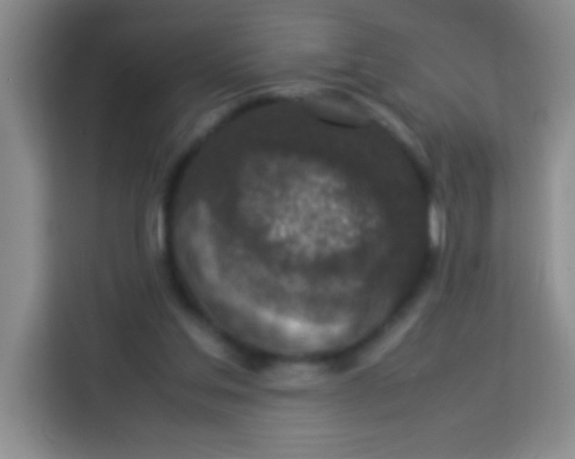 X0000113290205200910051107