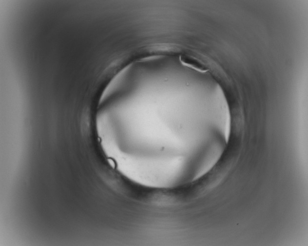 X0000113290207200910051107