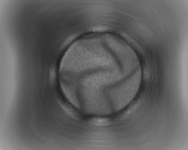 X0000113290208200910051107