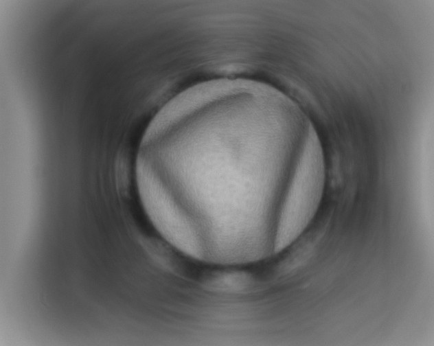 X0000113290210200910051107