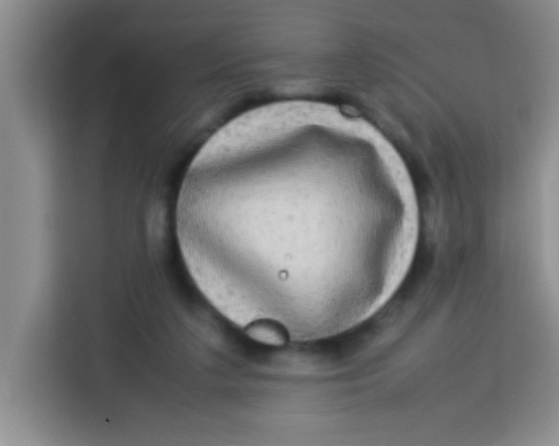 X0000113290211200910051107