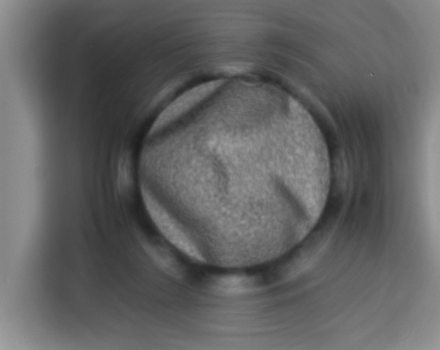 X0000113290212200910051107