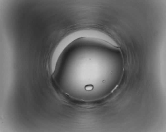 X0000113290213200910051107