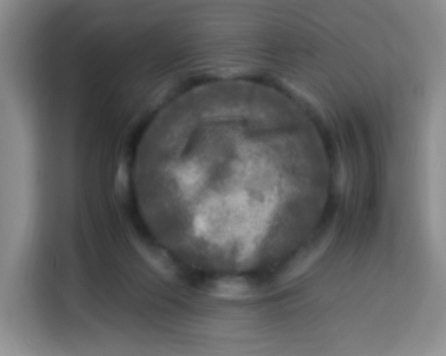 X0000113290214200910051107