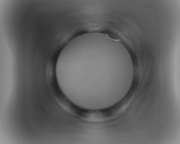 X0000113290215200910051107