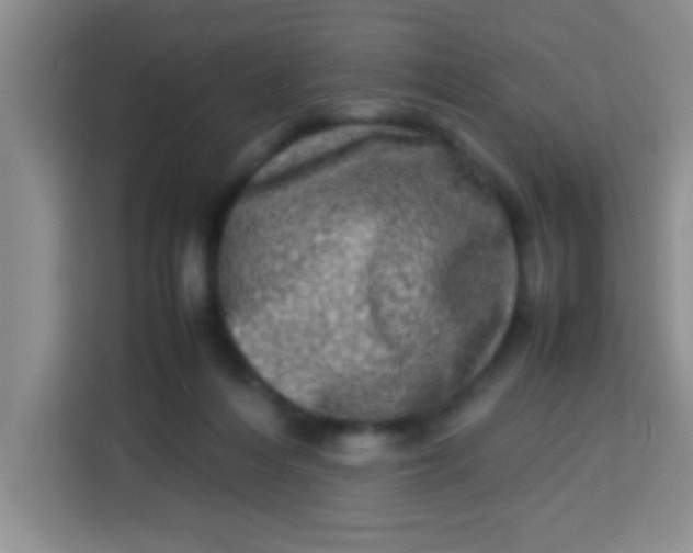 X0000113290216200910051107