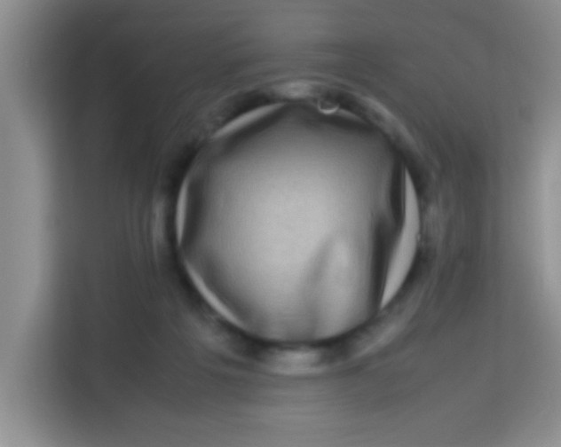 X0000113290217200910051107