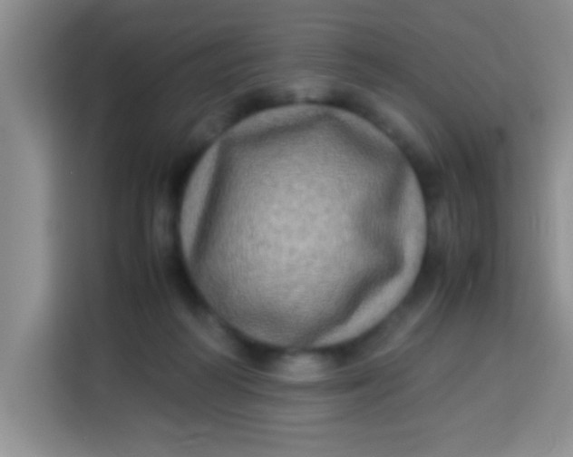 X0000113290218200910051107