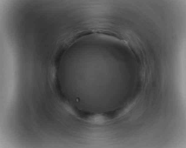X0000113290219200910051107