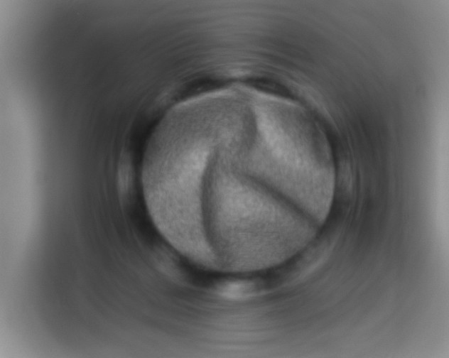 X0000113290220200910051107