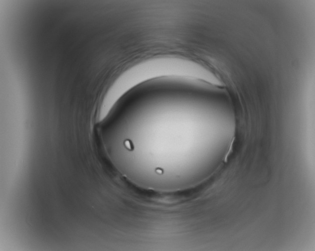 X0000113290221200910051107