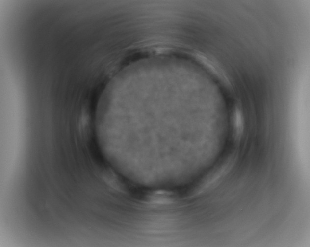 X0000113290222200910051107