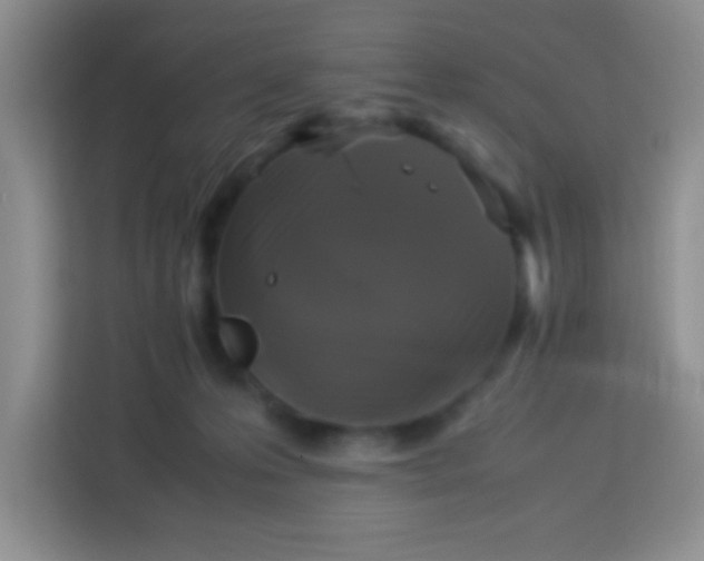 X0000113290223200910051107